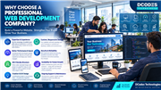 Why Choose a Professional Web Development Company?
