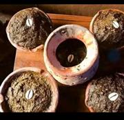 The best powerful spiritual spell caster+2348051831932