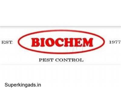 Fix Termite Damage Biochem pest control service in Tanjore