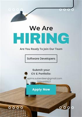 Software Developer