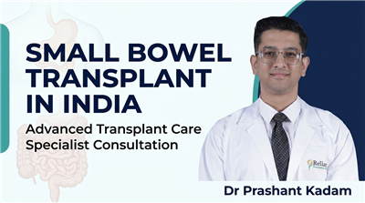 Small Bowel Transplant in India – Expert Consultation and Advanced Transplant