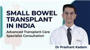 Small Bowel Transplant in India – Expert Consultation and Advanced Transplant