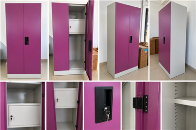 GODREJ-Purple Office Storage Cabinet with Shelves