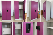 GODREJ-Purple Office Storage Cabinet with Shelves