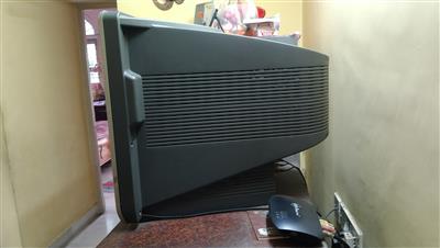 24 inch Philips Colour TV (CRT type)