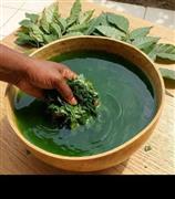 The most powerful spiritual herbalist native doctor in Nigeria+2348117409635
