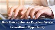 Work at home with US Medical Form Filling projects 7708244092