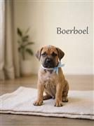 Boerboel Dog Available 8800539300