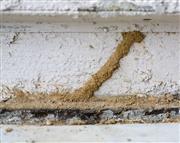 Termite Control Biochem pest control service in Tanjore