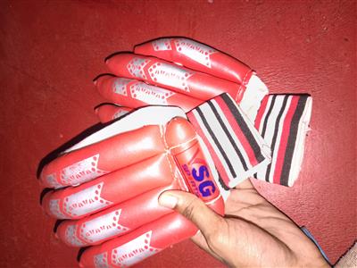 Circket kit