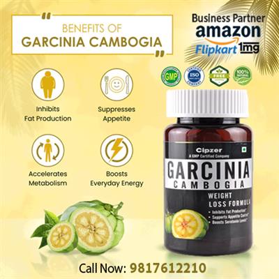 Garcinia Cambogia is Safe for Weight Loss, oxidizes bad cholesterol