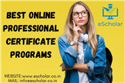 Best Online Professional Certificate Programs