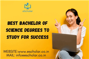 Best Bachelor of Science Degrees to Study for Success