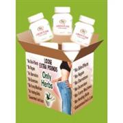 AROGYAM PURE HERBS WEIGHT LOSS KIT