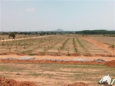 FARMLAND, BALANAGAR @ SHADNAGAR, 4,500/- PER SQYD