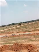 FARMLAND, BALANAGAR @ SHADNAGAR, 4,500/- PER SQYD