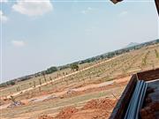 FARMLAND, BALANAGAR @ SHADNAGAR, 4,500/- PER SQYD