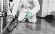 World Best Biochem pest control service in Trichy