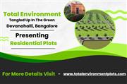 Total Environment Tangled Up In The Green- Immerse Yourself in Nature with Plots