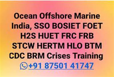 FRC FRB HLO BRM THUET Helicopter Underwater Escape Training