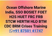 FRC FRB HLO BRM THUET Helicopter Underwater Escape Training