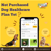 Pet Health Packages