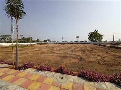 Plot for Sale