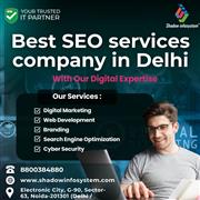 Best SEO Services Company in Delhi – Shadow Infosystem