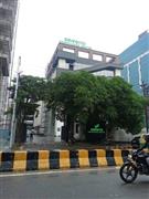 Coworking Space in Sector 126 Noida at Despecto Knowledge Centre