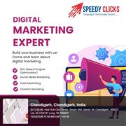 Speedy Clicks - Digital Marketing Course in Chandigarh