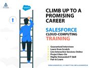 AlmaMate Info Tech - Best Salesforce Training in Noida