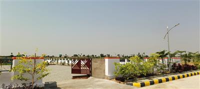 NEW Plots in Gollur - Muchinthal Hyderabad near ORR, Exit no 15, 16 #henleywoods