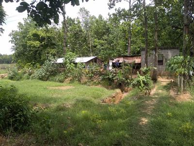 @Rs 3,20,000 per bigha, 4 bigha commercial cum agri Land cum farm house for sale