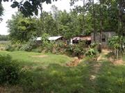 @Rs 3,20,000 per bigha, 4 bigha commercial cum agri Land cum farm house for sale