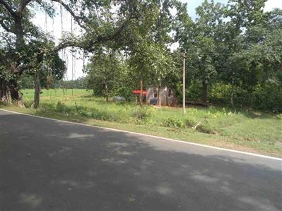 @Rs 3,20,000 per bigha, 4 bigha commercial cum agri Land cum farm house for sale
