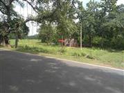 @Rs 3,20,000 per bigha, 4 bigha commercial cum agri Land cum farm house for sale