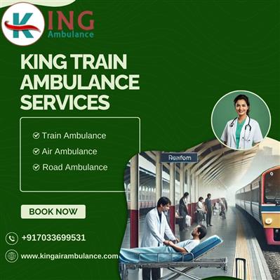 King Train Ambulance in Bangalore Offers Personalized Patient Care for Shifting