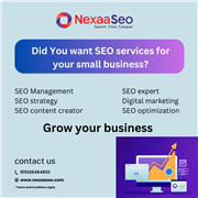 Drive More Traffic with Expert Search Engine Optimization Services