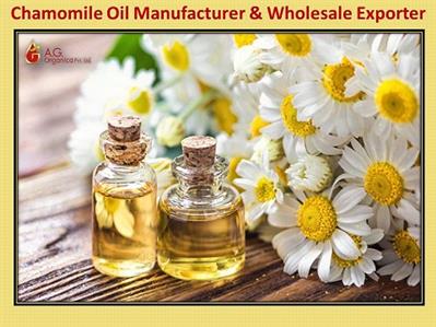 Organic Chamomile Oil Manufacturer & Bulk Supplier – AG Organica