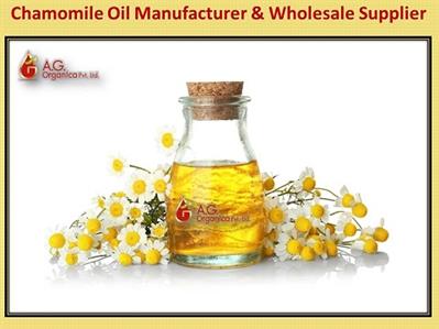 High-Quality Chamomile Oil for Wholesale – AG Organica India