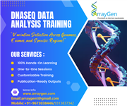 Bioinformatics Services and Training offered