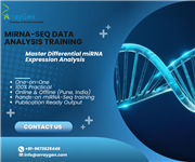 Bioinformatics Services and Training offered