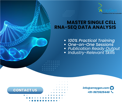 Bioinformatics Services and Training offered