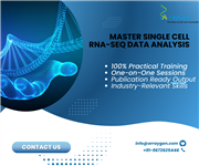 Bioinformatics Services and Training offered