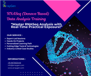 Bioinformatics Services and Training offered