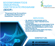 Bioinformatics Services and Training offered