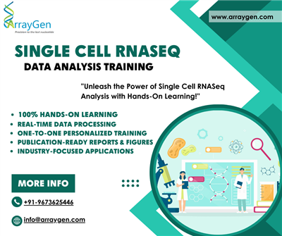 Bioinformatics Services and Training offered