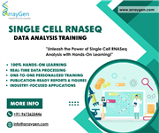 Bioinformatics Services and Training offered