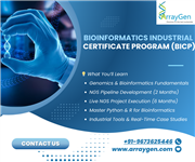 Bioinformatics Services and Training offered