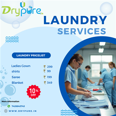 Best Shoe Laundry Noida: Trusted Services with Free Pickup